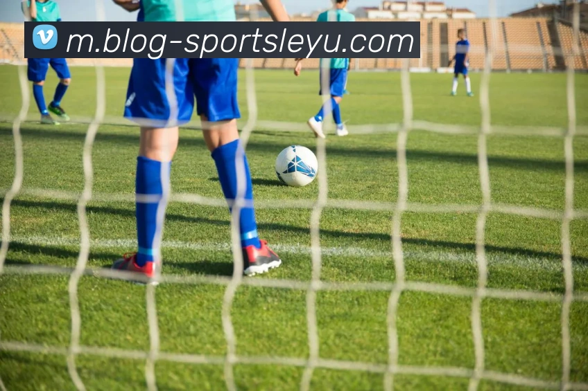 乐鱼体育品牌故事