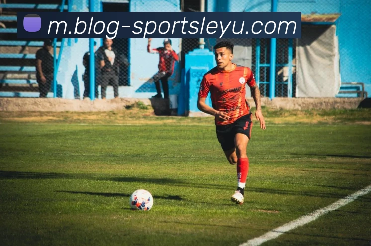 乐鱼体育服务体系